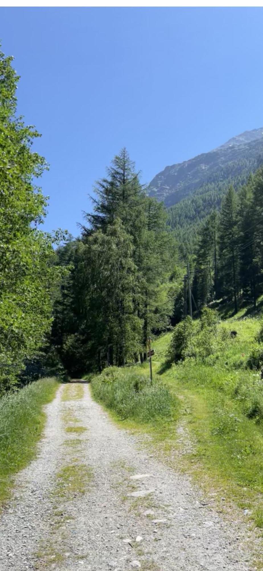 Appartement Butterfly Saas-Grund Εξωτερικό φωτογραφία
