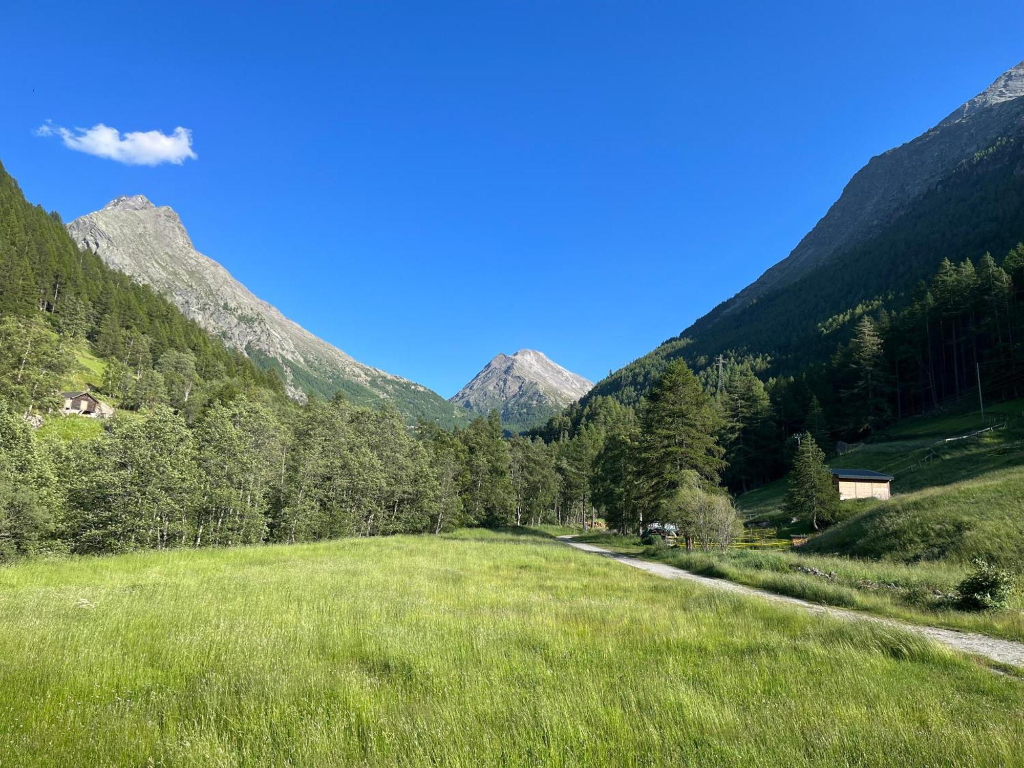 Appartement Butterfly Saas-Grund Εξωτερικό φωτογραφία