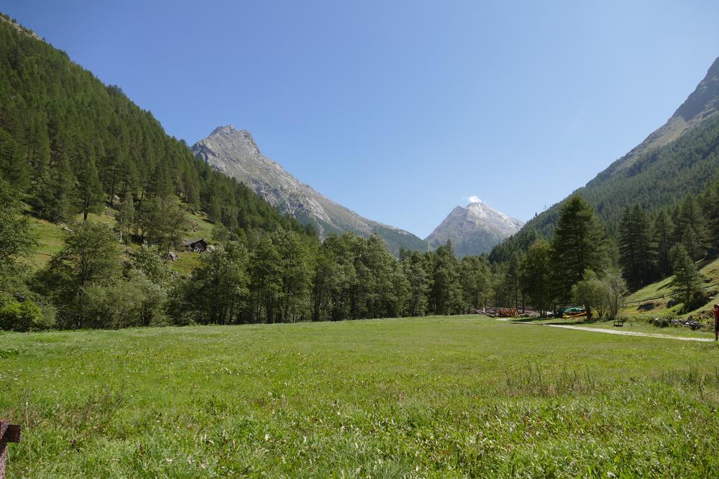 Appartement Butterfly Saas-Grund Εξωτερικό φωτογραφία